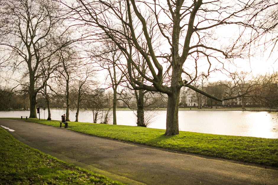 A pathway running alongside a calm body of water in a park setting, lined with leafless trees during late autumn or winter. On the left side of the pathway, a person is seated on a park bench, possibl